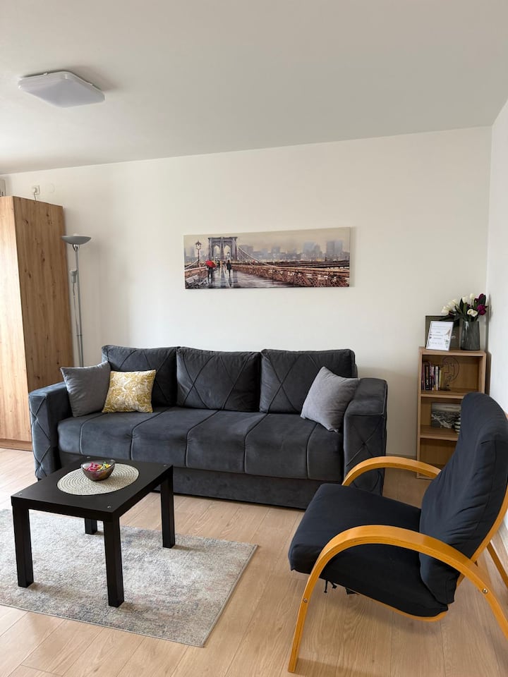 Apartman Mira - Belgrado