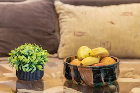 Top performing Airbnb: Bamboo Cottage in Velipojë