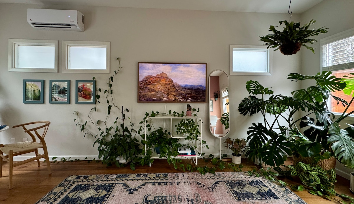 Sunny Backyard One Bedroom Apartment in Hyde Park