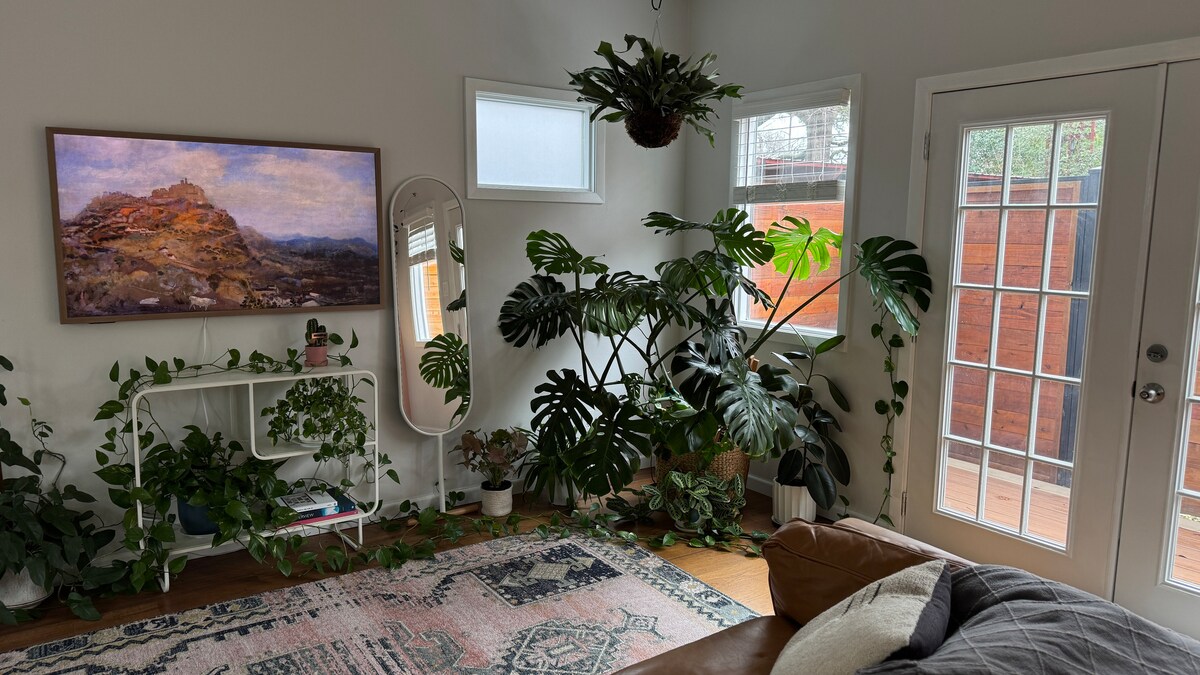 Sunny Backyard One Bedroom Apartment in Hyde Park