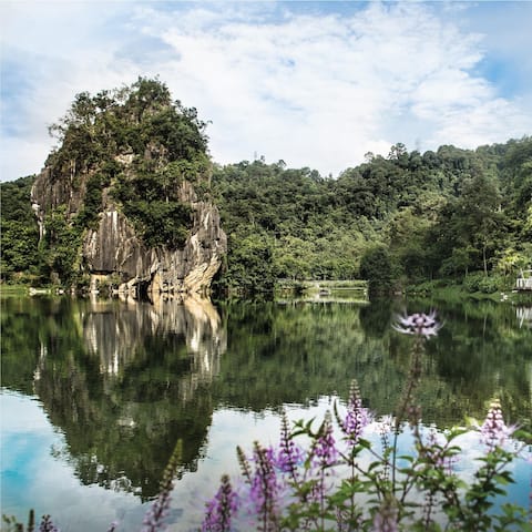 The Haven Lakeside Natural
Scenic landscape