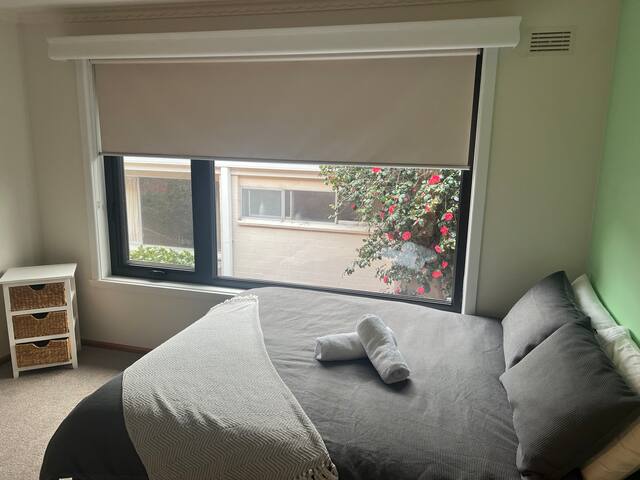 Modern light filled home gallery image 4