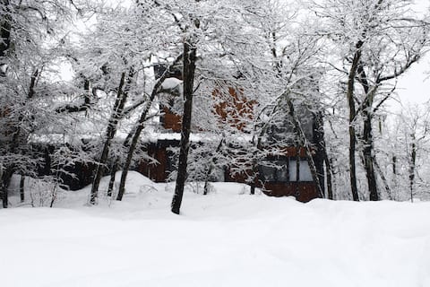 House surrounded by forest, Termas de Chillán