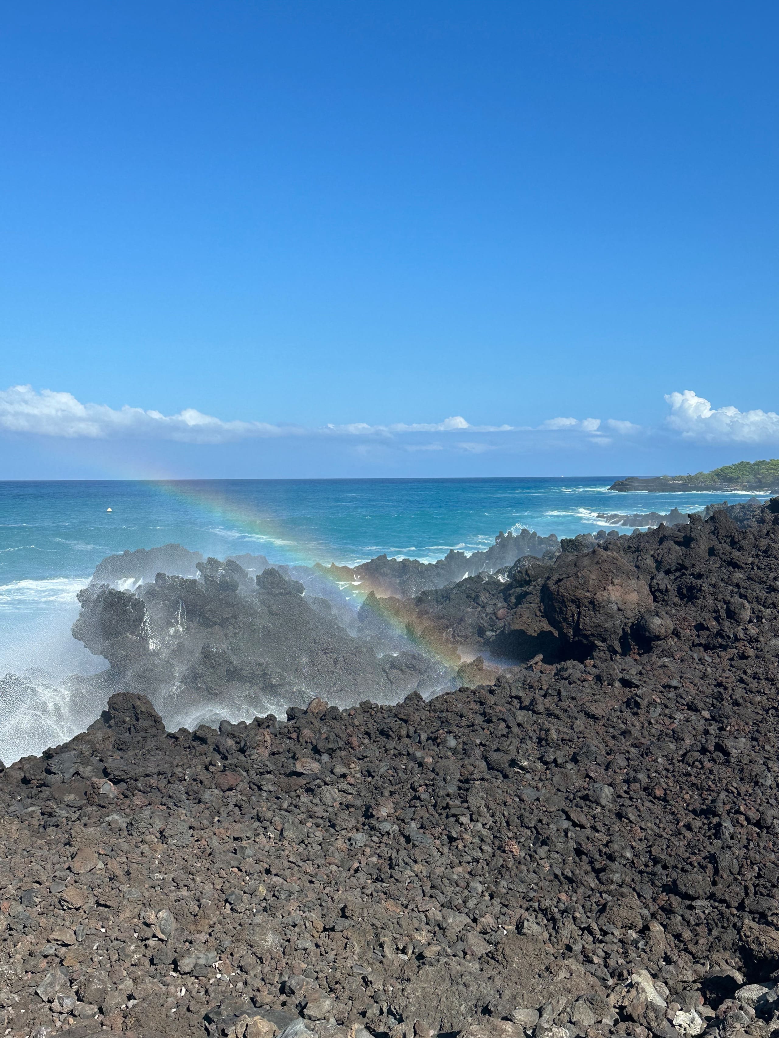 Condo in Kailua-Kona · ★4.91 · 1 bedroom · 1 bed · 1 bath - Image 34