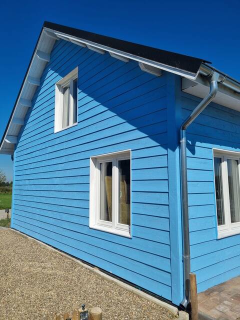 The blue house