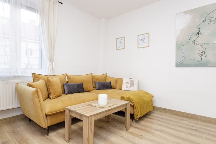 Managerial 1 Bedroom Apartment, Fully Renovated. - Ostrava