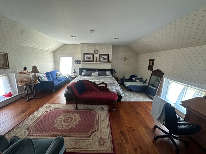 Bird-themed room with king bed and two twin sofa beds.