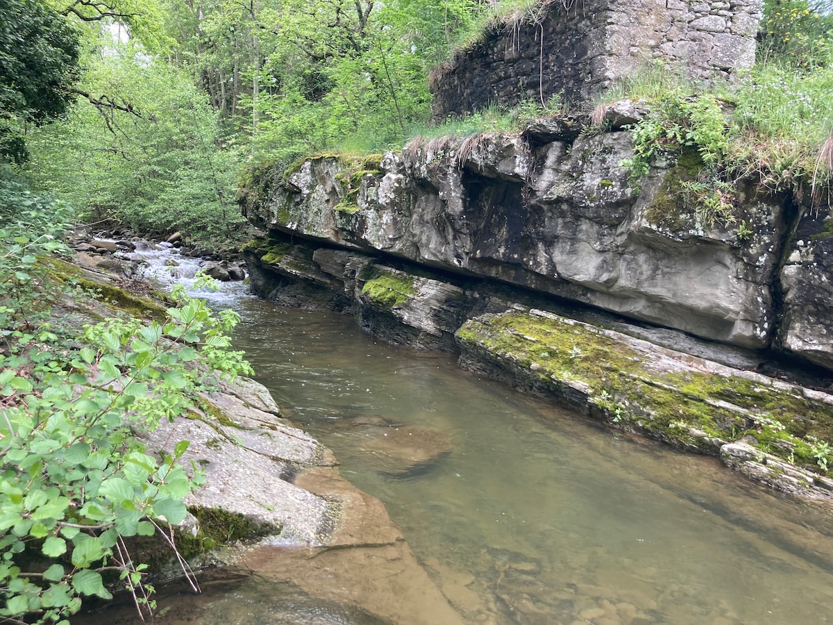 A serene river flows gently past moss-covered rocks and a stone structure partially obscured by greenery. The natural landscape features lush foliage along the bank, inviting a sense of tranquility amid the surrounding hills.