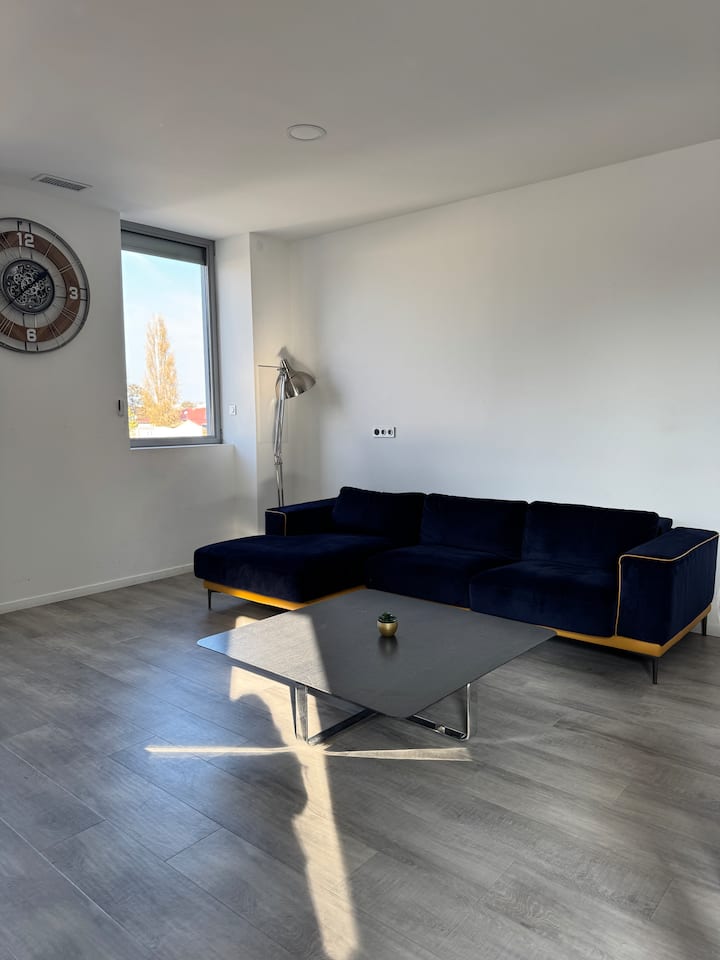 Loft 130 M2 Sans Voisinage Avec Parking Privé. - Saint-Symphorien-d'Ozon