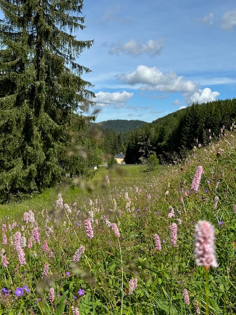 Mountain Lodge on Auersberg in a secluded location at 800 m