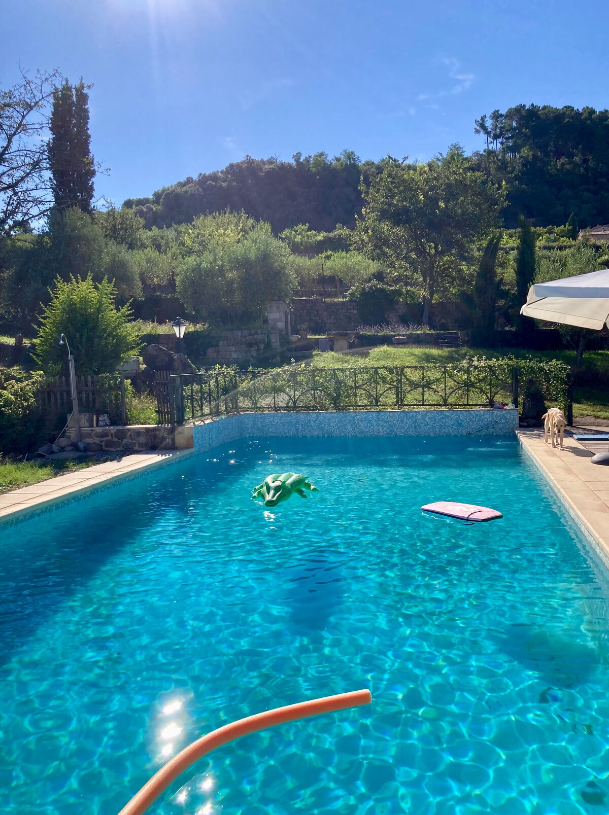A refreshing pool area features clear, turquoise water with a floating lounge mat. Surrounding greenery includes trees and shrubs, providing a natural backdrop. A shaded area with an umbrella is visible at the poolside, enhancing the space for relaxation.