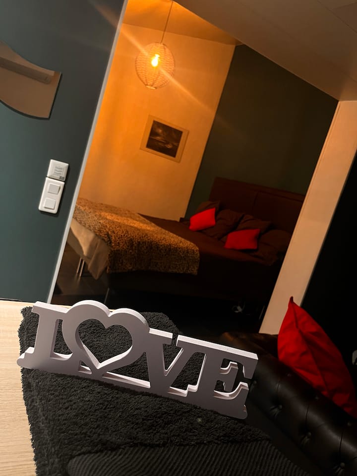 Studio Cosy Avec Terasse Et Jardin Privatif - Rive-de-Gier