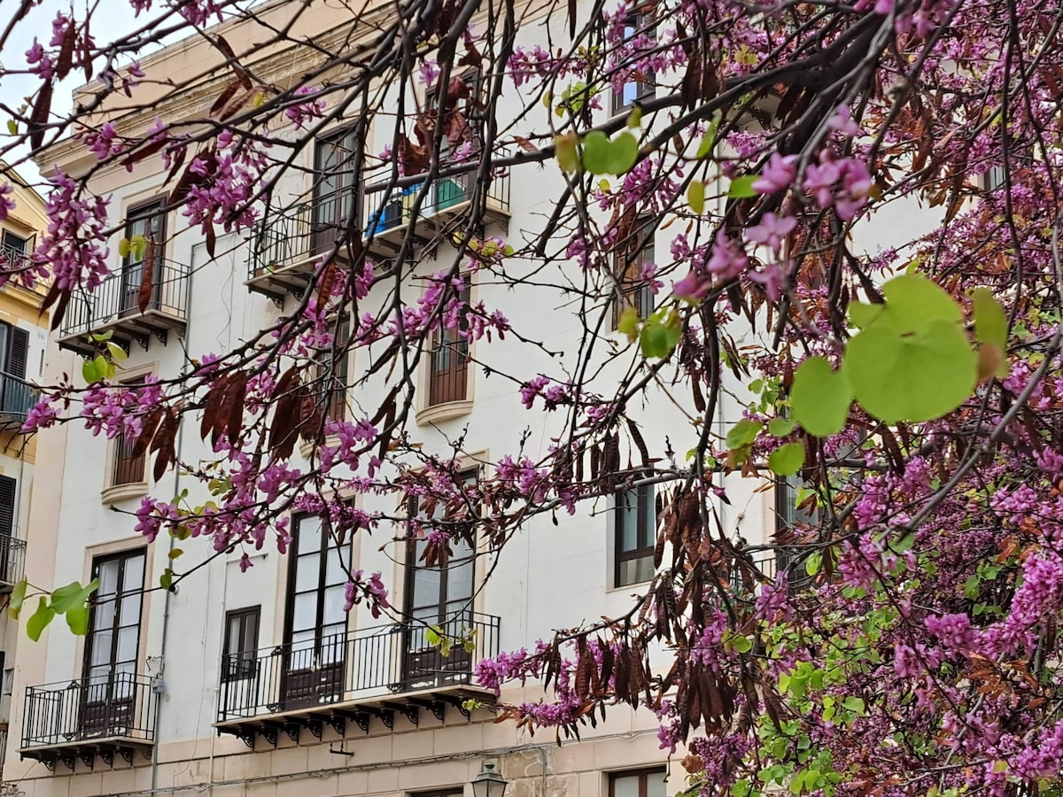 An elegant building is framed by branches adorned with pink blossoms and fresh green leaves. Several balconies with simple black railings overlook the vibrant street below, offering glimpses of the interior through the large windows.