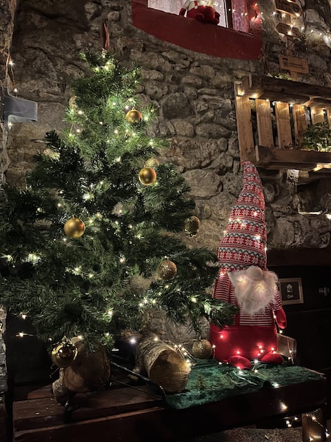 Cozy nest by Lake Geneva