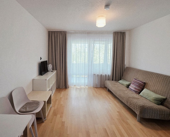 2 Zim.-city- Apartment In Der Nähe Von Uni Und Hbf - Freiburg im Breisgau