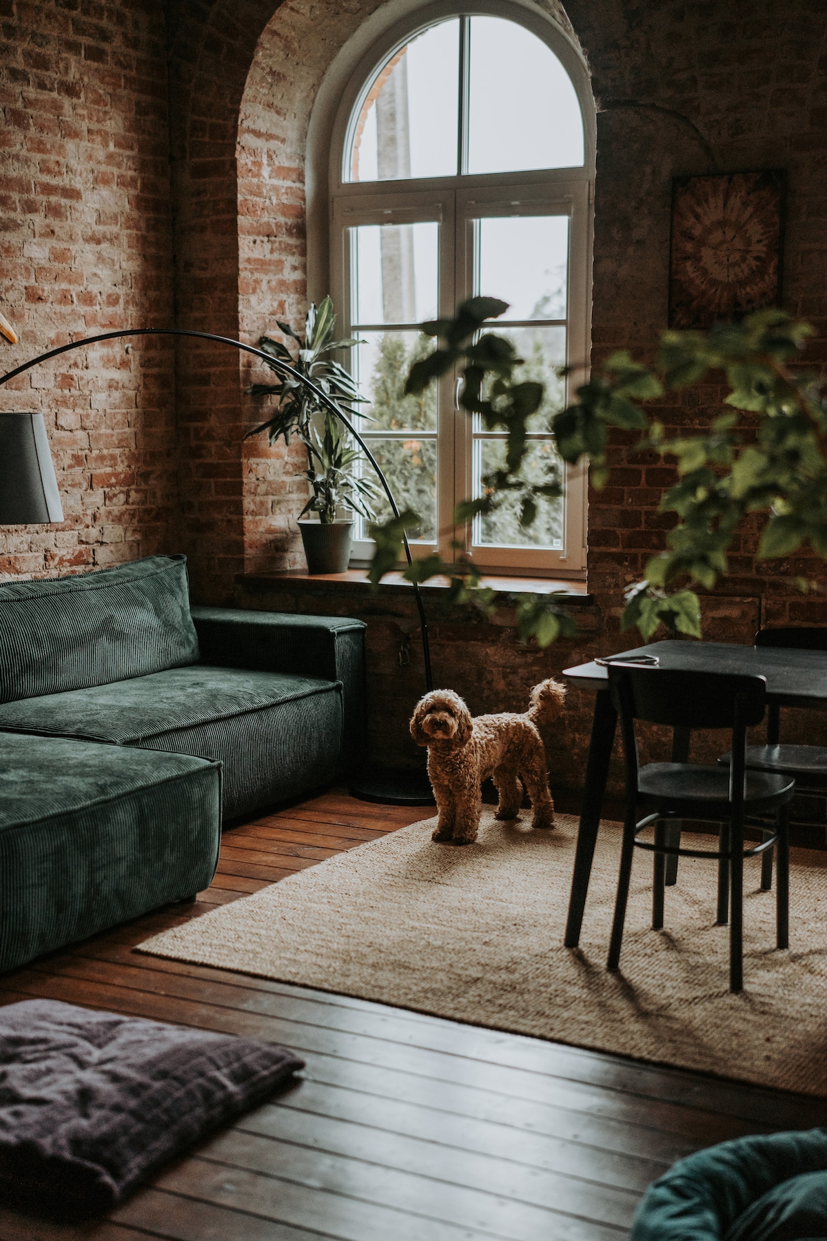 A cozy living area features a green velvet sofa and a small dining table with two chairs. Soft lighting is provided by a floor lamp next to the sofa, while a furry dog stands on the textured rug, observing the space. A large window brings in natural light.