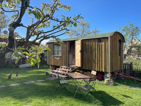 Cozy construction trailer near the lake - Tiny House