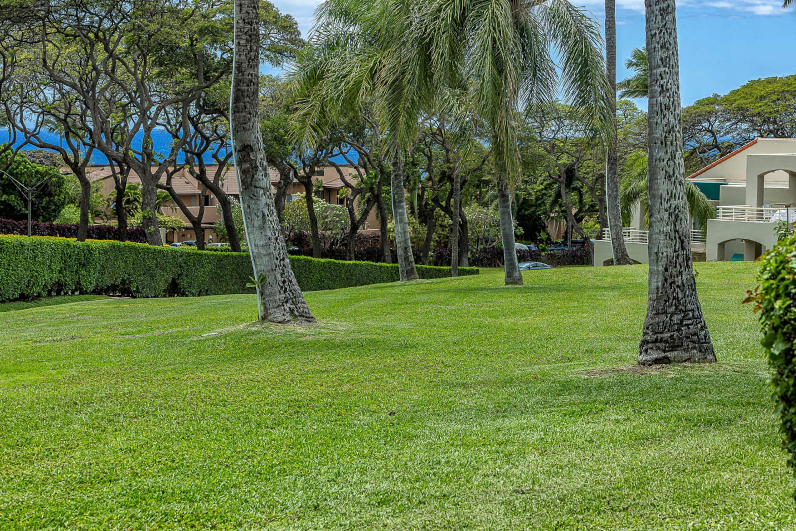 Condo in Kihei · ★4.5 · 2 bedrooms · 3 beds · 2 baths - Image 52