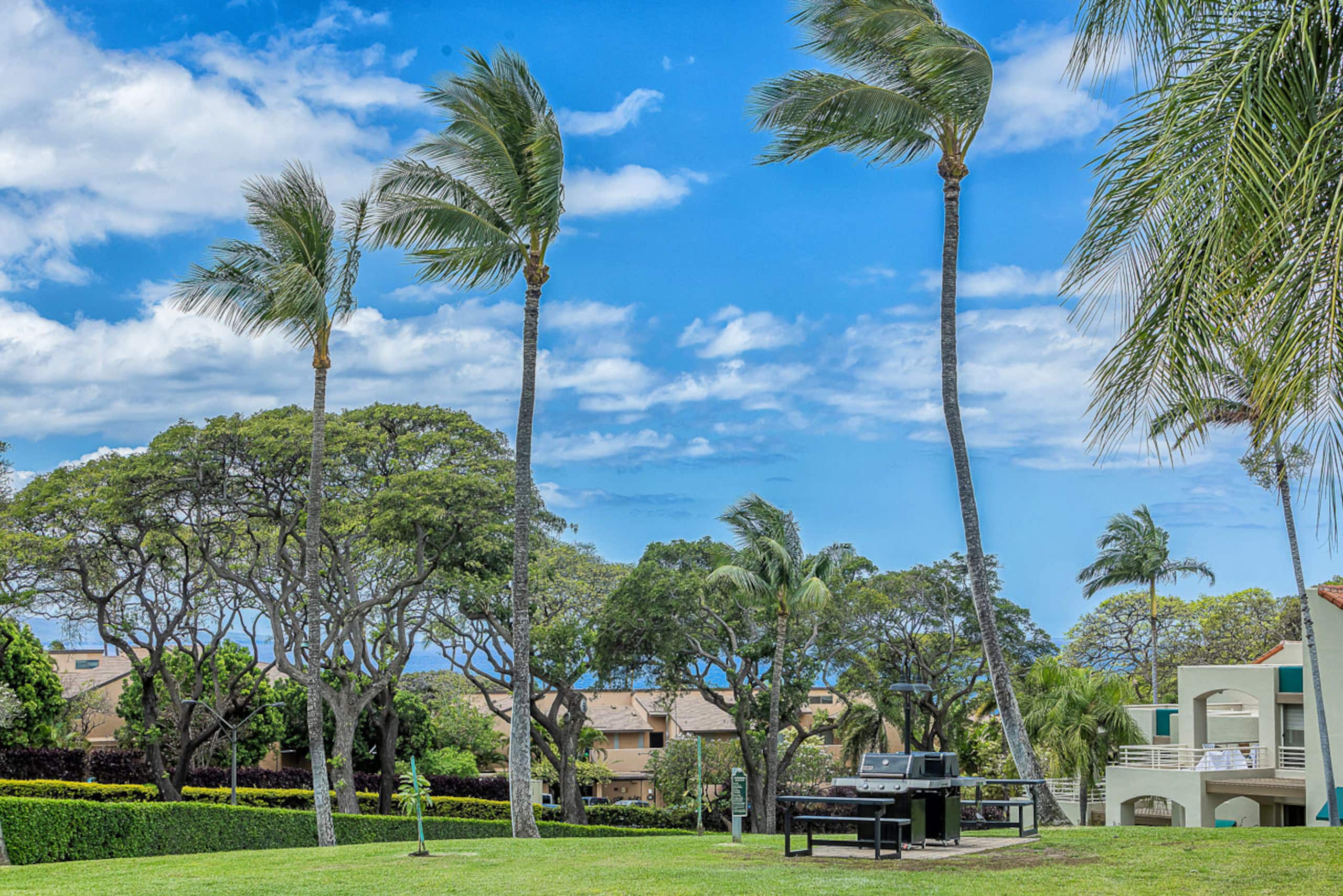 Condo in Kihei · ★4.5 · 2 bedrooms · 3 beds · 2 baths - Image 51