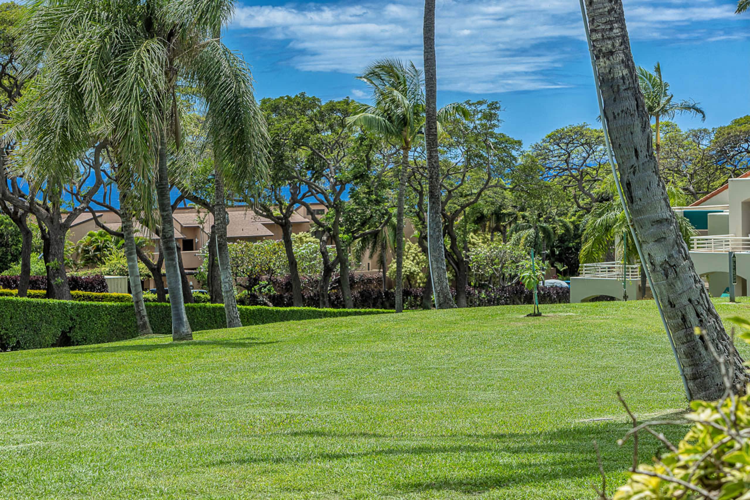 Condo in Kihei · ★4.5 · 2 bedrooms · 3 beds · 2 baths - Image 45