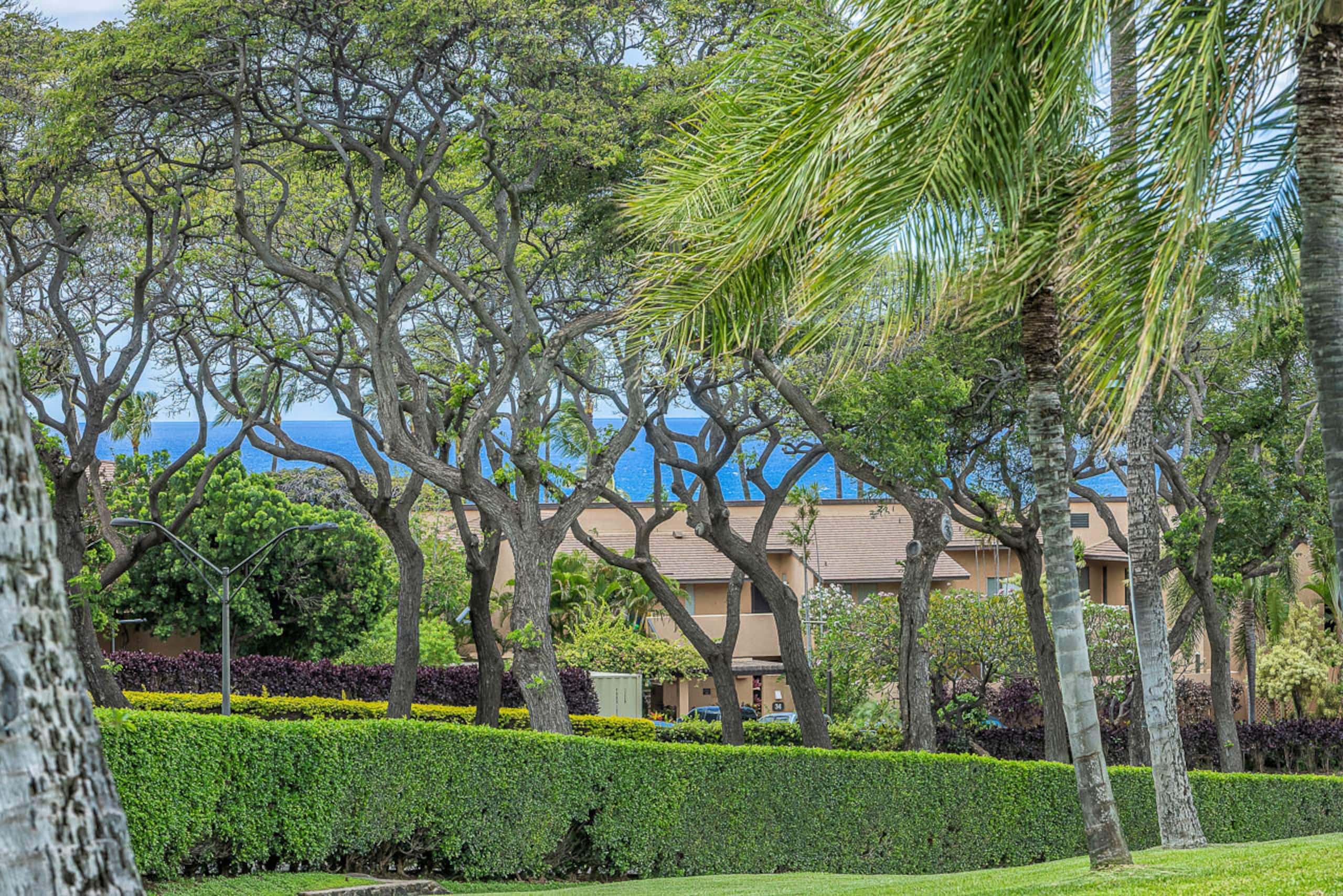 Condo in Kihei · ★4.5 · 2 bedrooms · 3 beds · 2 baths - Image 48