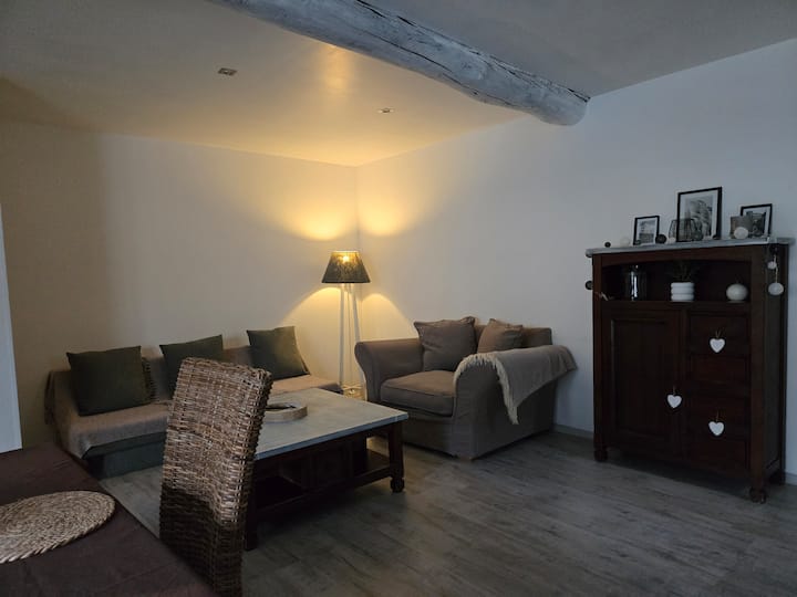 Maison Agréable Au Bord De L'yonne. - Seine-et-Marne