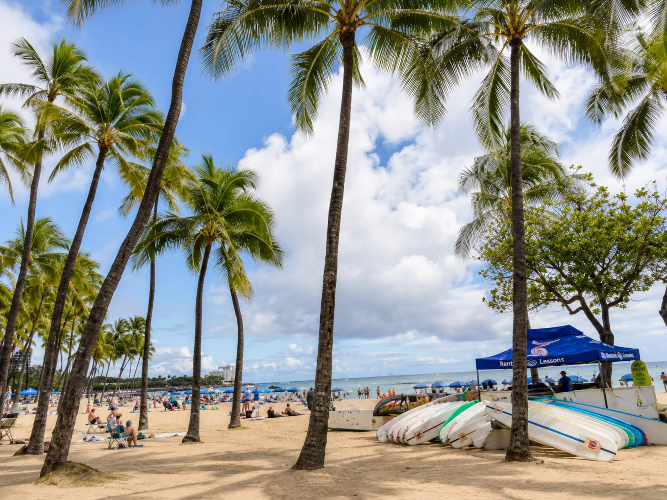 Condo in Honolulu · ★4.88 · 1 bedroom · 2 beds · 1 bath - Image 29