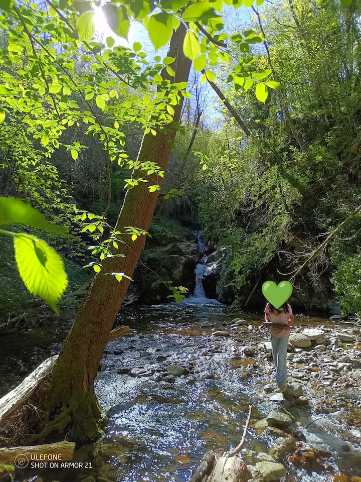 Mas Rivière Nature Havre De Paix 20hect 10/12pers - Amélie-les-Bains-Palalda