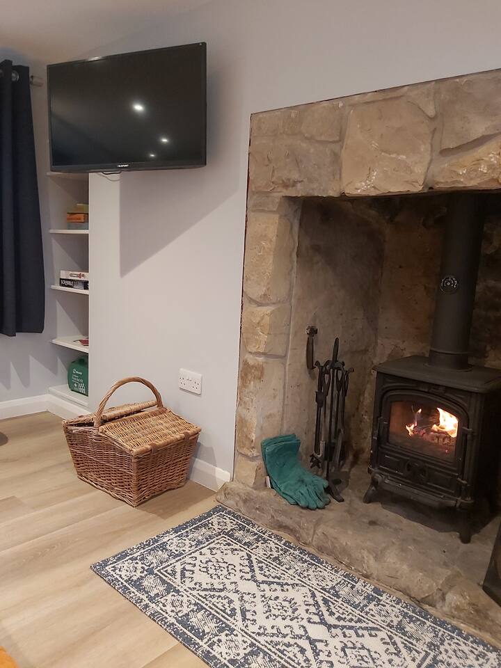 مدفأة وتلفزيون مريح