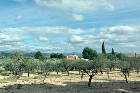 Top performing Airbnb: Painter's house, private pool, air conditioning in Albacete