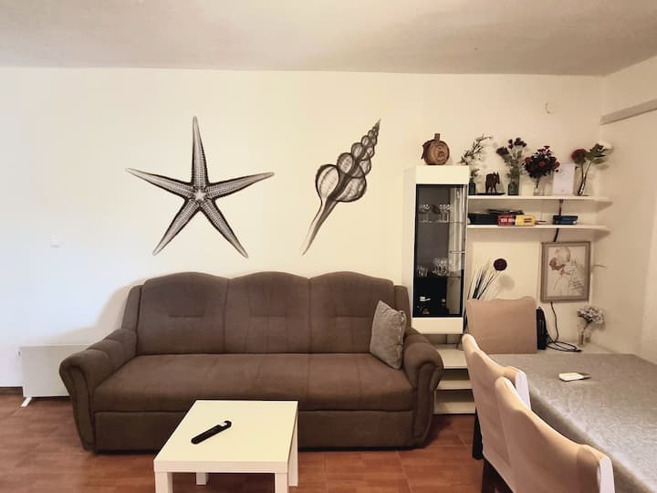 غرفة معيشة بمساحة مفتوحة مع تلفزيون ذكي وسرير أريكة قابل للطي 