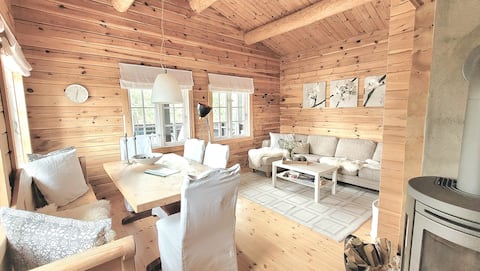 Successful Airbnb property: Cabin with 3 bedrooms in Nissedal