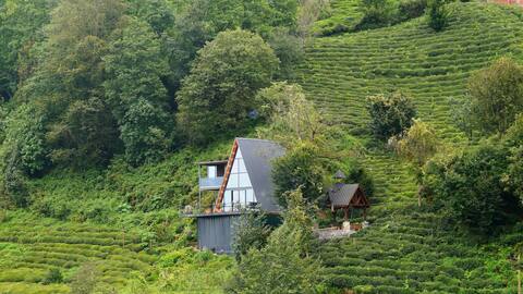 Espenika Bungalow, feel nature.