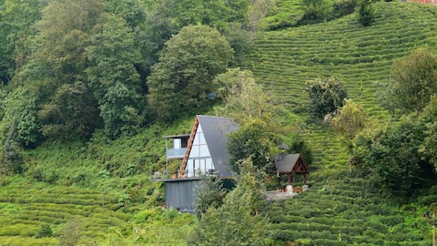 Espenika Bungalow, feel nature.