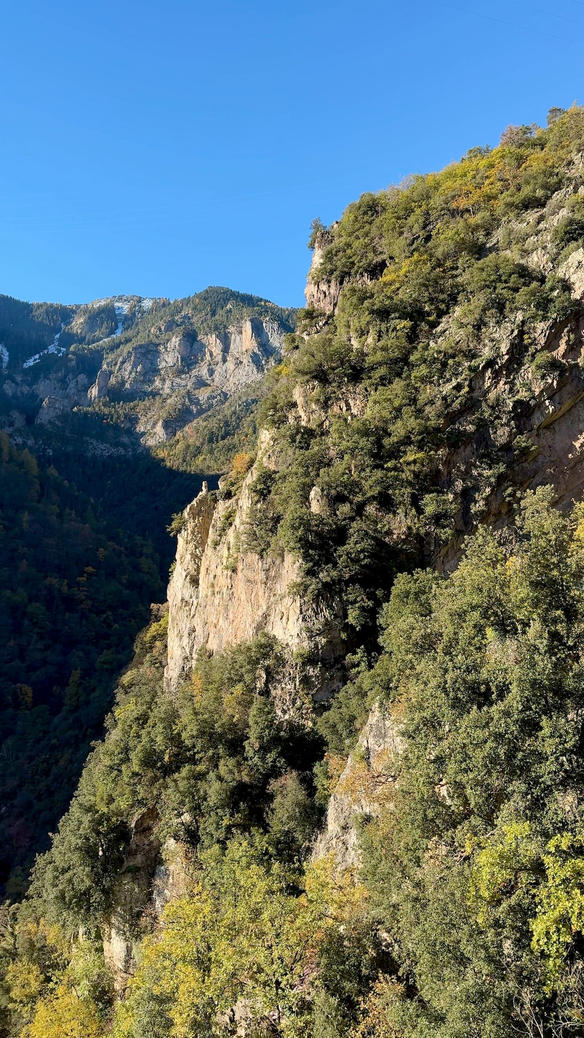 A scenic mountain landscape displays rugged cliffs blanketed by rich green foliage. Towering peaks rise in the background, with hints of snow visible on higher elevations. A clear blue sky provides a bright backdrop, enhancing the natural beauty of the surrounding wilderness.