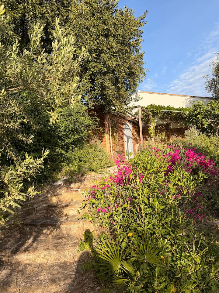 Studio Dans Un éCrin De Verdure à Bormes - Bormes-les-Mimosas