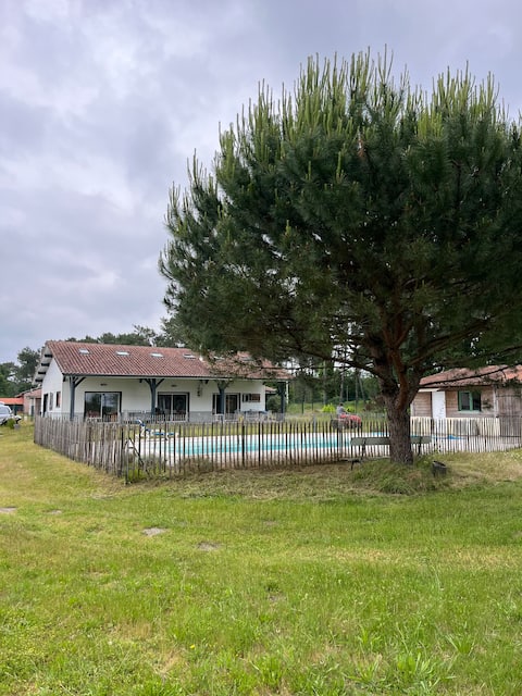 Cozy house between pine trees and ocean