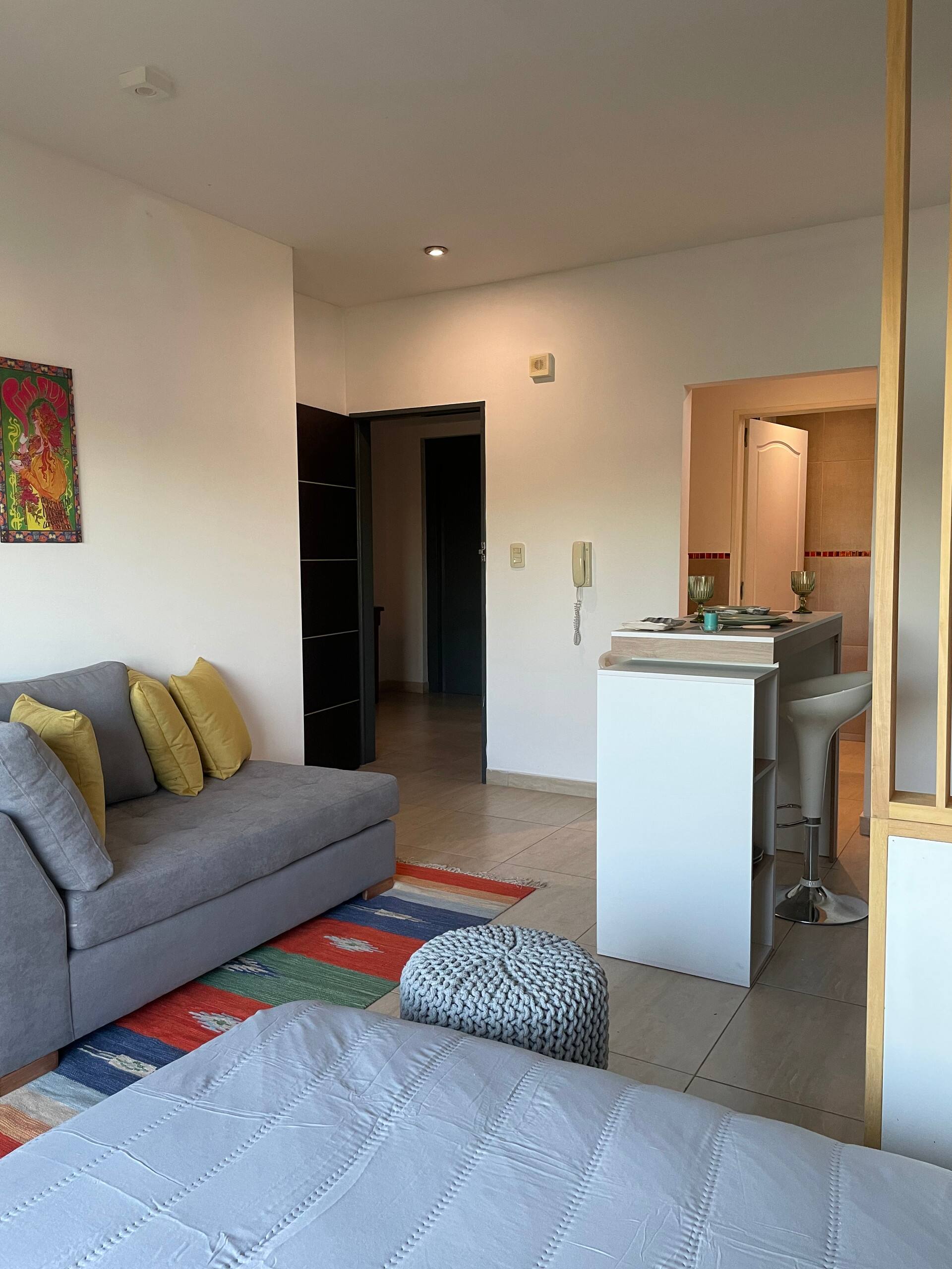 Bright studio apartment