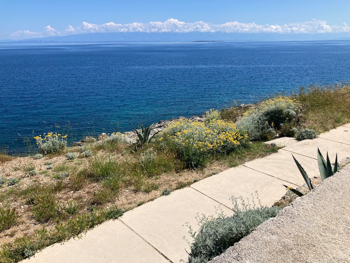 A scenic view of the coastline features a pathway leading towards the sparkling blue water. Wildflowers and coastal vegetation create a natural border along the edge. The horizon is marked by distant mountains under a clear blue sky, enhancing the serene setting.