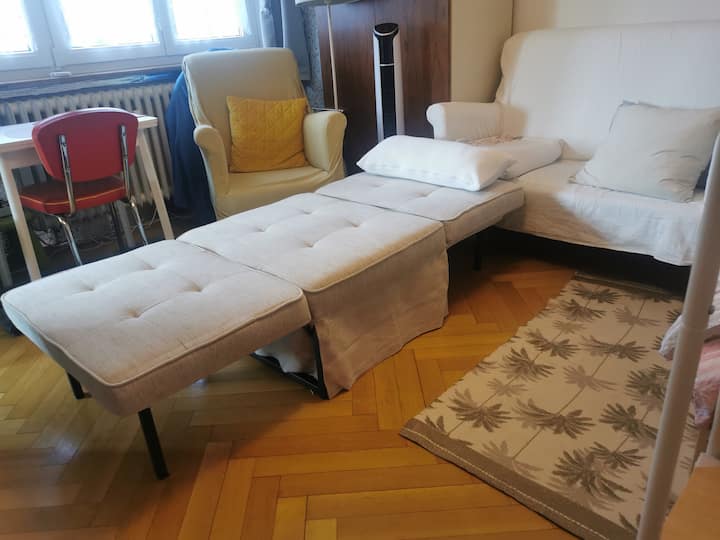 Kleines Zimmer M. Teeküche Nur An Frauen - フリブール アン ブリゴー