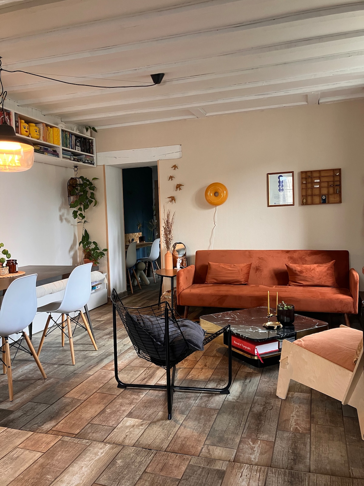 A stylish living area features an orange sofa and a black accent chair paired with a glass coffee table. A dining table with white chairs is placed nearby. Shelves with decorative items and plants add character, while warm lighting creates a cozy ambiance.
