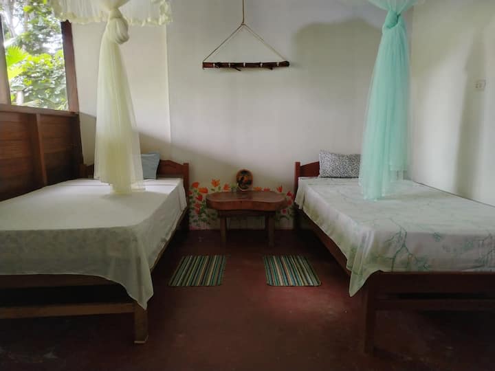 Refugio Tropical Cerca Al Rio-habitación Para 4 - Puerto Maldonado