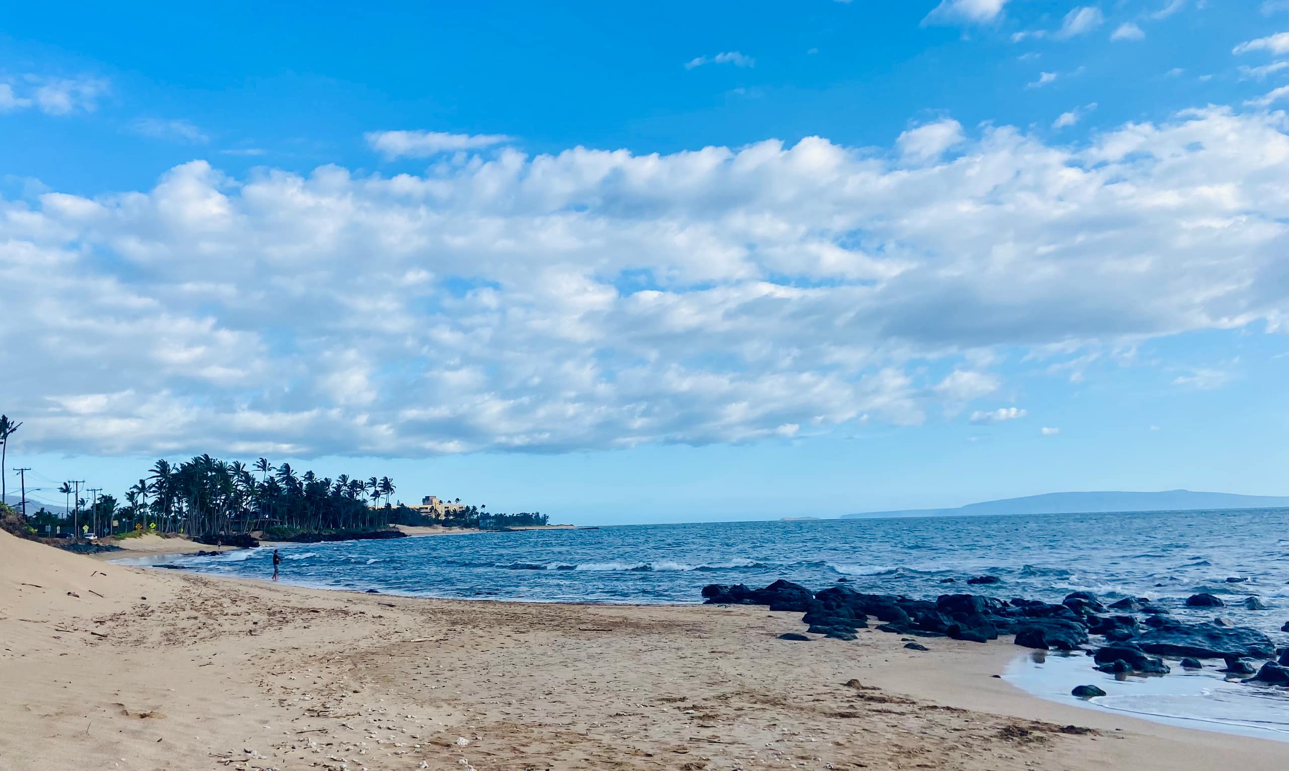 Condo in Kihei · ★4.81 · 2 bedrooms · 2 beds · 1 bath - Image 30