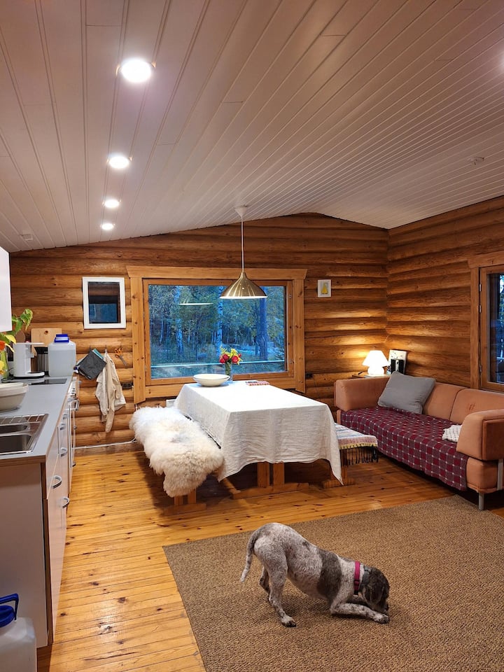 Beautiful Cottage At Lake Saimaa, Rantamaja - Mikkeli