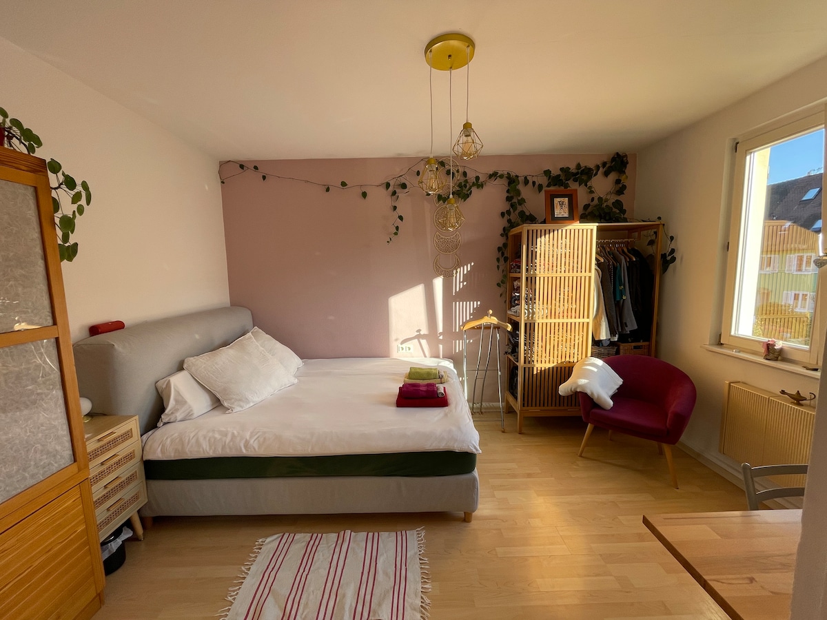 A spacious bedroom features a large bed dressed with white linens and bright accent pillows. A wooden wardrobe stands beside the bed, adorned with decorative plants. A burgundy armchair sits in the corner, and sunlight filters in through a nearby window, illuminating the room.