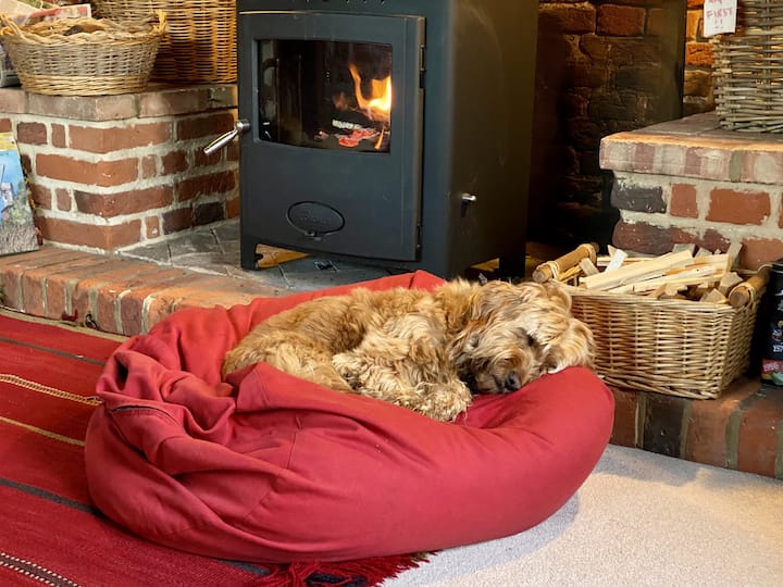 Cosy Cottage In Idyllic Countryside Near Coast - Suffolk