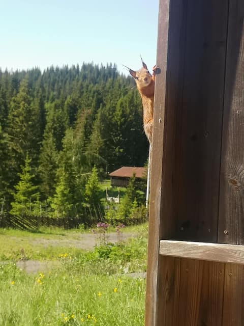 Nordmarka north, Friluftsperle, swimming and fishing waters.