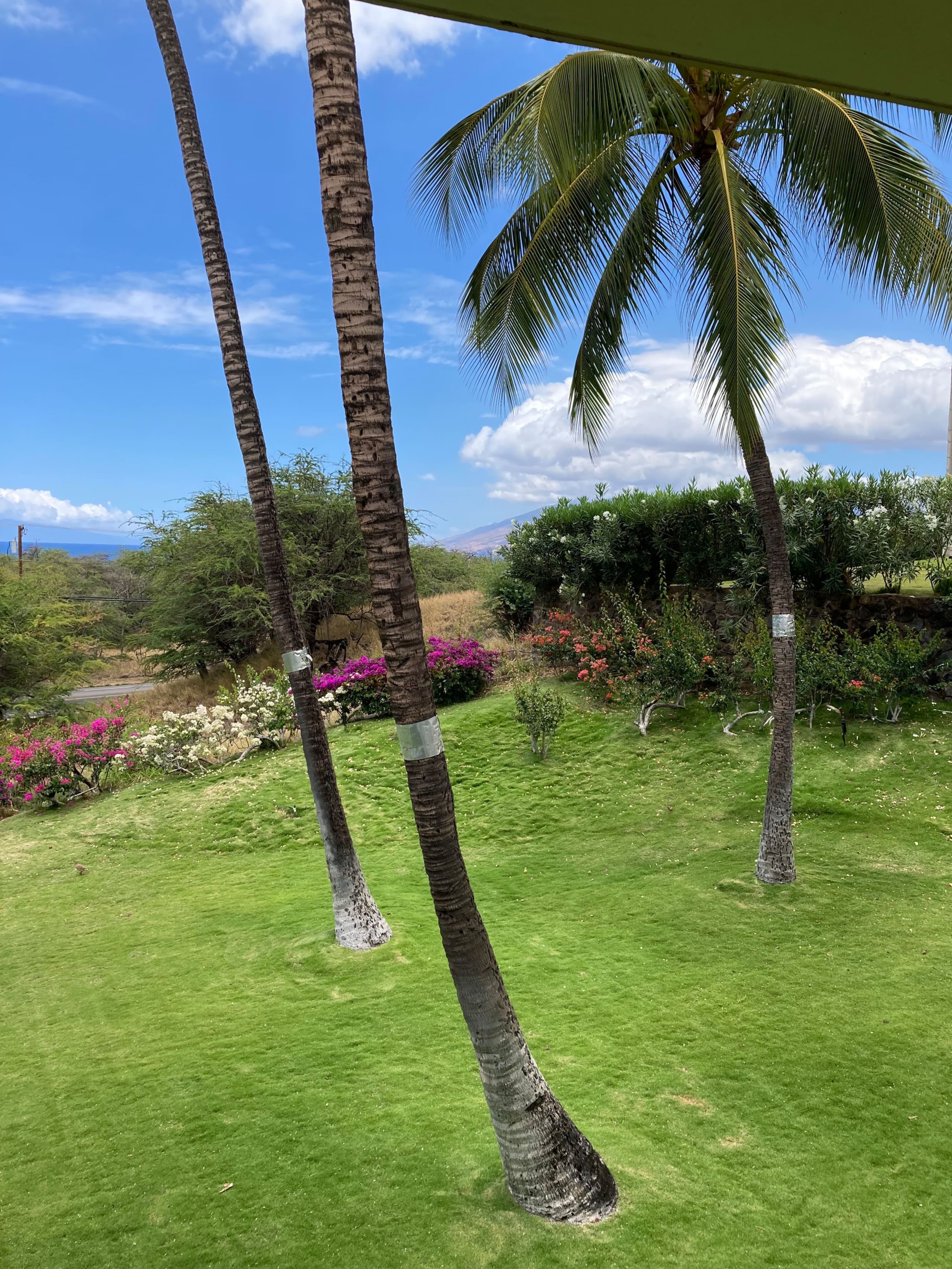 Condo in Kihei · ★4.94 · 2 bedrooms · 2 beds · 1 private bath - Image 27