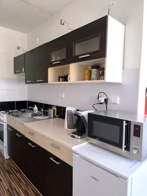 Apartment 2+1 in the center of Znojmo (balcony, 5 beds)