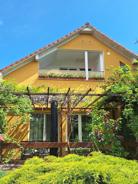 Top performing Airbnb: Charming two bedrooms apartment in Sighișoara